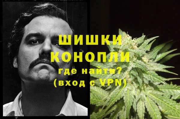 мяу мяу мука Белокуриха