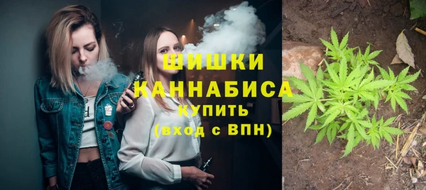 мяу мяу мука Белокуриха