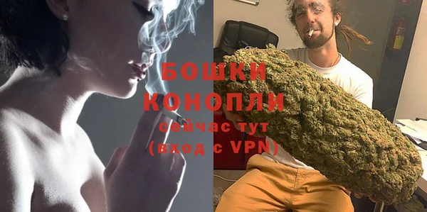 стаф Снежногорск